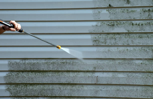 Best Mold Removal and Inspection  in Hendersonville, TN