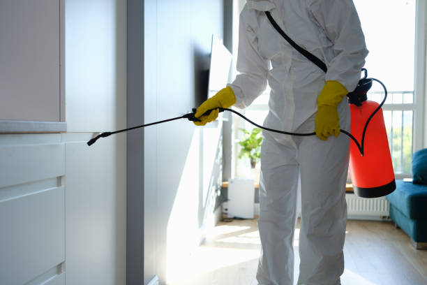 Best Mold Remediation  in Hendersonville, TN