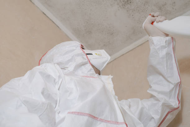 Best Office Mold Removal Services  in Hendersonville, TN